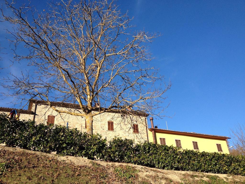 Agriturismo Cailuca Pietralunga  Eksteriør bilde