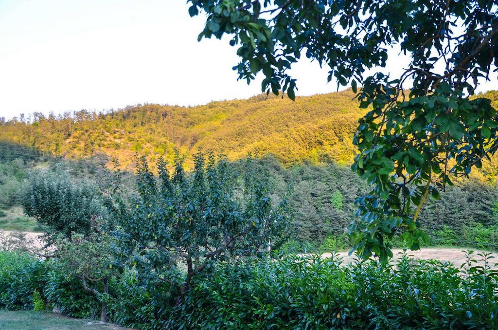 Agriturismo Cailuca Pietralunga  Eksteriør bilde
